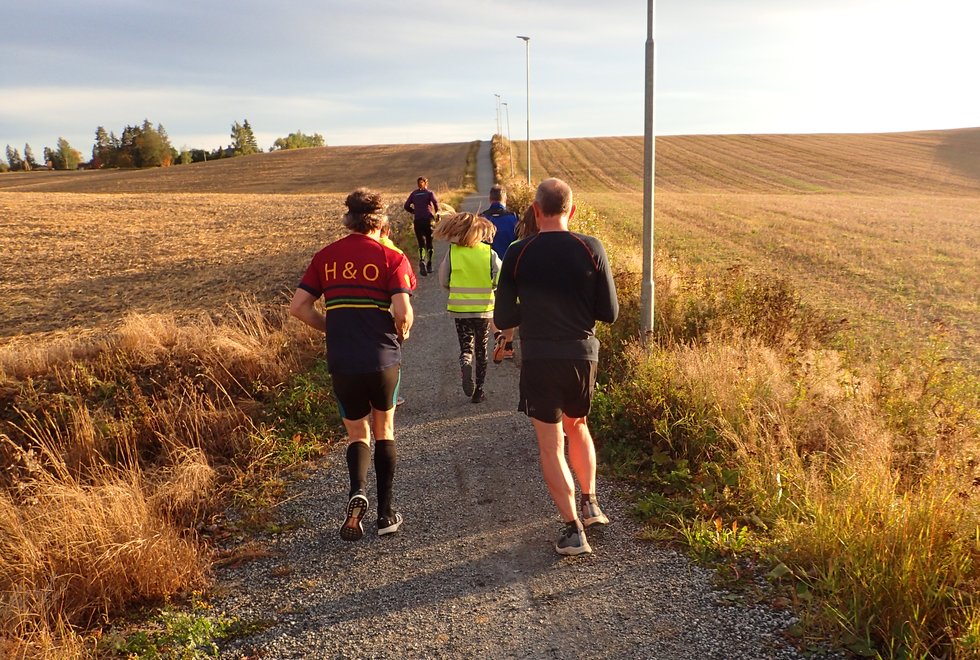 Mange muligheter: Det er mange flotte treningsmuligheter rundt Årnes. Her er vi på vei opp til Fjuk hvor halve gruppa skal løpe Musseintervaller, mens resten har valgt en rolig 8-kilometer opp til Dragsjøhytta og tilbake. (Foto: Marianne Røhme)
