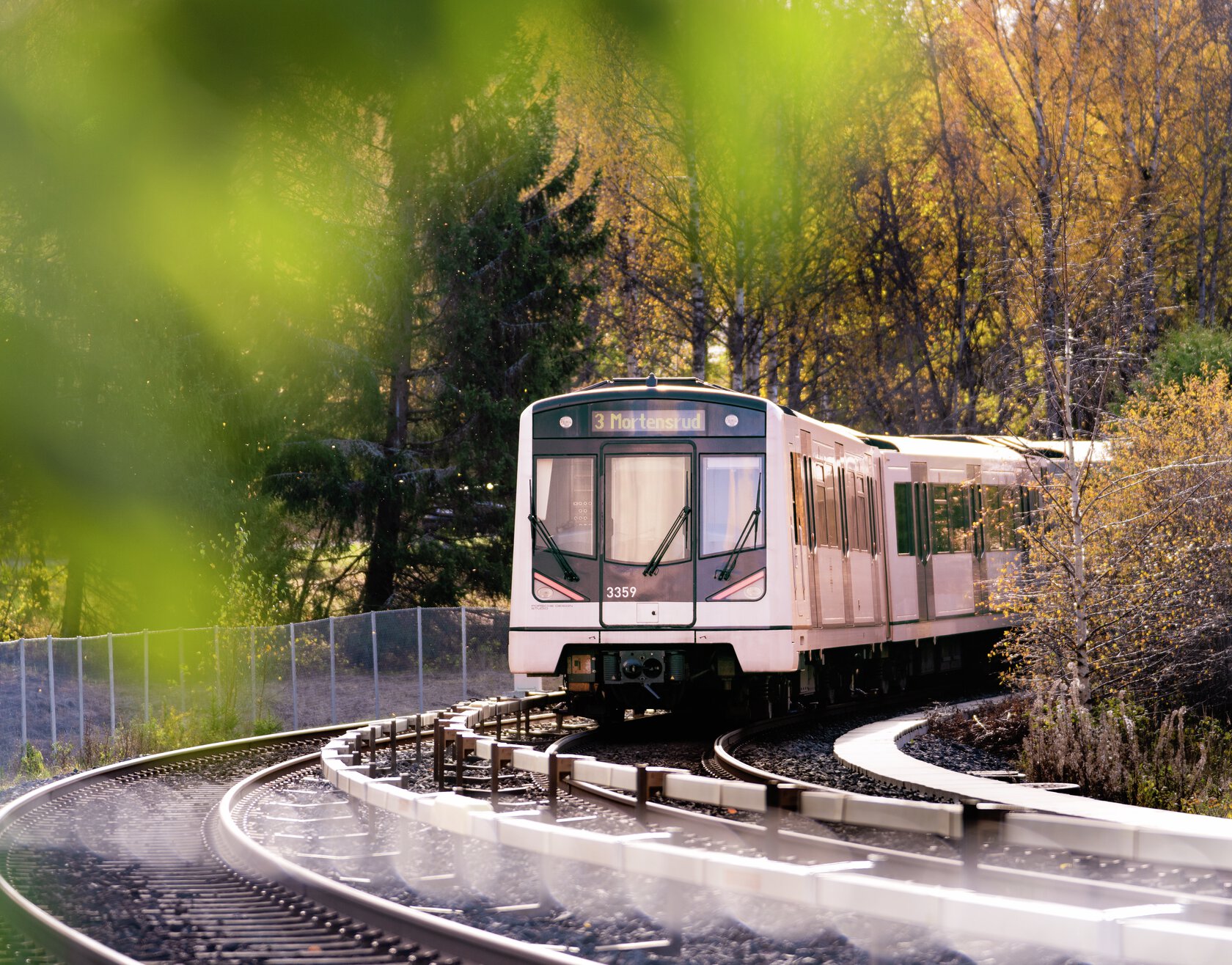 T-banen linje 3 kjører langs sporet forbi trær med høstløv. Foto.