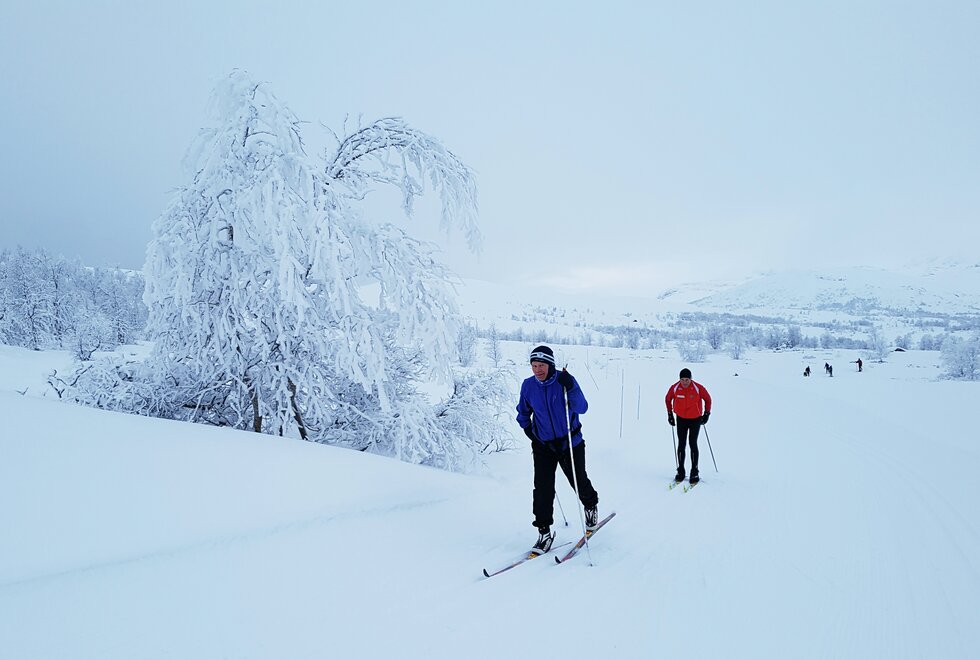 Idyllisk: I jula håper jeg å få både flere ski- og løpeturer. (Foto: Bjørn Johannessen)