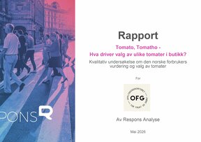 forside av rapporten