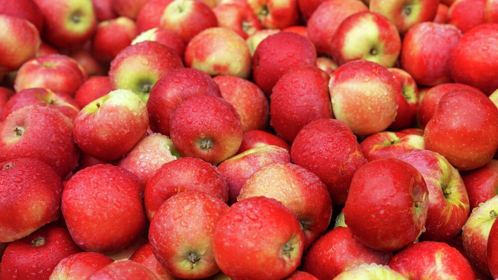 Feir Epledagen med norske epler! Sprø, saftige og fulle av vitaminer ...