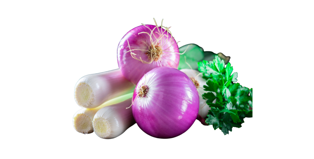 Løk og purre | FRUKT.no